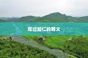 观过知仁的释义