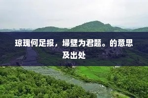 琼瑰何足报，埽壁为君题。的意思及出处