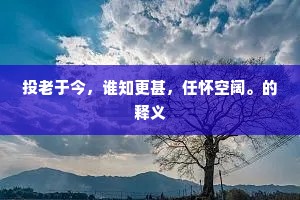 投老于今，谁知更甚，任怀空阔。的释义