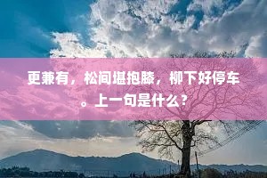 更兼有，松间堪抱膝，柳下好停车。上一句是什么？