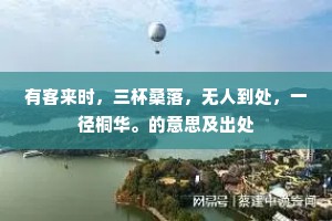 有客来时，三杯桑落，无人到处，一径桐华。的意思及出处