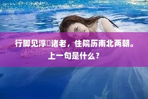 行脚见淳祐诸老，住院历南北两朝。上一句是什么？