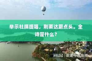 举示杜撰提唱，刚要达磨点头。全诗是什么？