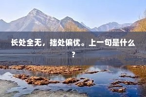 长处全无，拙处偏优。上一句是什么？