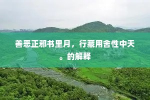 善恶正邪书里月，行藏用舍性中天。的解释