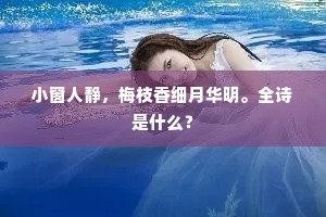 小窗人静，梅枝香细月华明。全诗是什么？