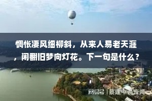 惆怅凄风细柳斜，从来人易老天涯，闲翻旧梦向灯花。下一句是什么？