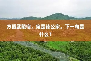 方疑武陵宿，宛是德公家。下一句是什么？