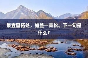 最宜窗拓处，如盖一青松。下一句是什么？