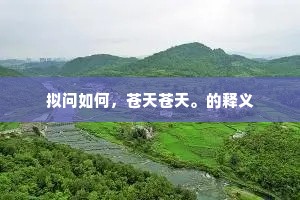 拟问如何，苍天苍天。的释义