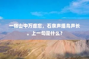 一宿山中万虑忘，石泉声细鸟声长。上一句是什么？
