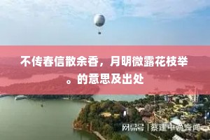 不传春信散余香，月明微露花枝举。的意思及出处
