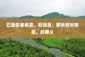 已是伤春病夏，好消息、那听按时来报。的释义