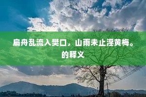 扁舟乱流入樊口，山雨未止淫黄梅。的释义