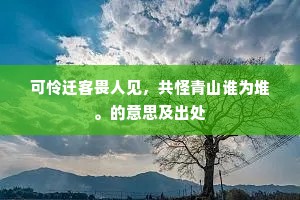 可怜迁客畏人见，共怪青山谁为堆。的意思及出处