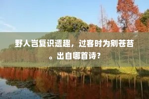 野人岂复识遗趣，过客时为剜苍苔。出自哪首诗？