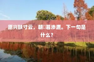 愿兴肤寸云，朝隮暮渗漉。下一句是什么？