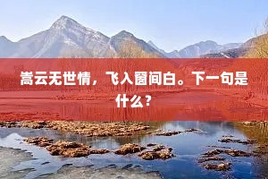 嵩云无世情，飞入窗间白。下一句是什么？