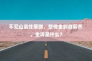 不见山翁住翠微，空传金刹自前齐。全诗是什么？