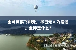 重寻黄鹄飞翔处，尽日无人为指迷。全诗是什么？
