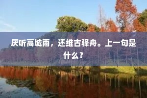 厌听高城雨，还维古驿舟。上一句是什么？