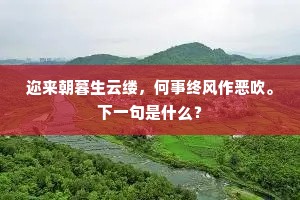 迩来朝暮生云缕，何事终风作恶吹。下一句是什么？
