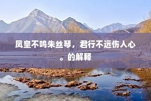 凤皇不鸣朱丝琴，君行不远伤人心。的解释