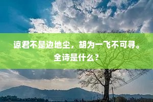 谅君不是边地尘，胡为一飞不可寻。全诗是什么？
