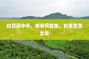 白日丽中天，帝京何煌煌。的意思及出处