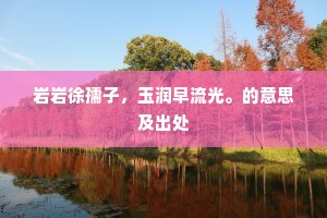 岩岩徐孺子，玉润早流光。的意思及出处