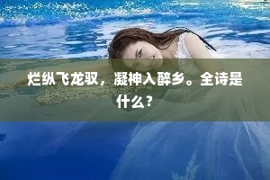 烂纵飞龙驭，凝神入醉乡。全诗是什么？