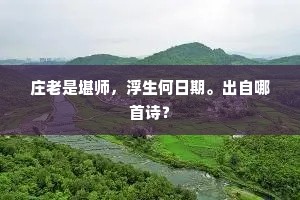 庄老是堪师，浮生何日期。出自哪首诗？