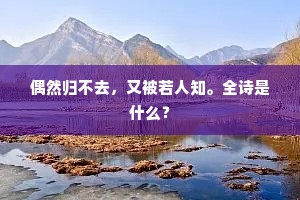 偶然归不去，又被若人知。全诗是什么？