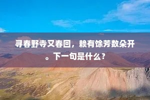 寻春野寺又春回，赖有馀芳数朵开。下一句是什么？