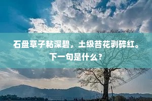 石盘草子粘深碧，土级苔花剥碎红。下一句是什么？