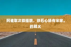 阿谁取次能描貌，铁石心肠有宋家。的释义