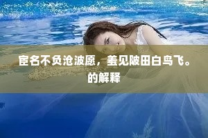 宦名不负沧波愿，羞见陂田白鸟飞。的解释