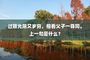 过眼光阴又岁穷，相看父子一尊同。上一句是什么？
