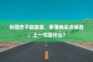 徘徊燕子窥珠箔，零落桃花点绿苔。上一句是什么？