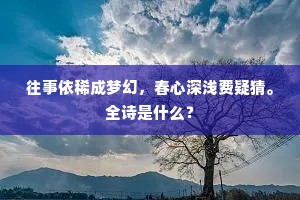 往事依稀成梦幻，春心深浅费疑猜。全诗是什么？