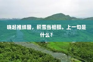 晓起推纸窗，积雪当檐额。上一句是什么？