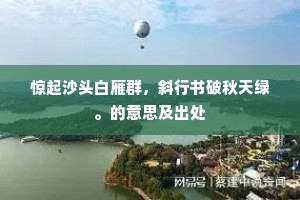 惊起沙头白雁群，斜行书破秋天绿。的意思及出处