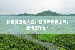 野花如血无人管，空向长安枝上啼。全诗是什么？