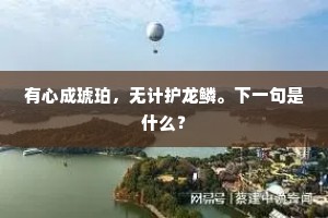 有心成琥珀，无计护龙鳞。下一句是什么？