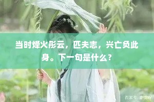 当时烽火彤云，匹夫志，兴亡负此身。下一句是什么？