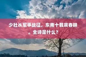 少壮从军事战征，东南十载废春耕。全诗是什么？