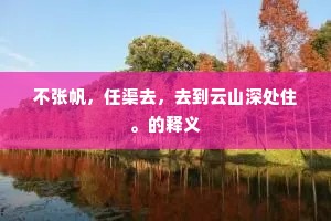 不张帆，任渠去，去到云山深处住。的释义