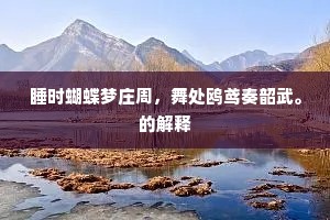 睡时蝴蝶梦庄周，舞处鸥鸢奏韶武。的解释