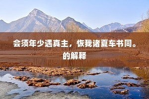 会须年少遇真主，恢我诸夏车书同。的解释