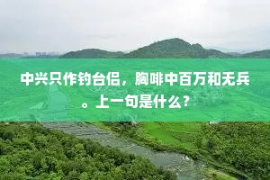 中兴只作钓台侣，胸啡中百万和无兵。上一句是什么？